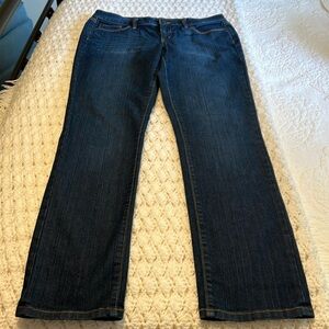 Ann Taylor loft modern straight jeans size 10.